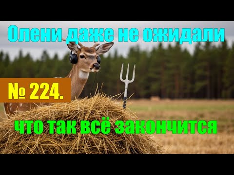Видео: № 224. Сегодня я не вспылил не разу. Послал всех мягко, душевно. #аферисты #антимошенники