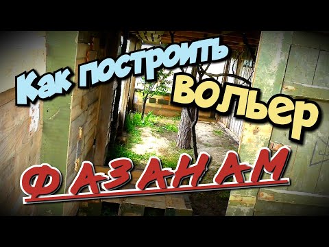 Видео: НОВОСЕЛЬЕ У ФАЗАНОВ! Строительство вольера для фазанов ЧАСТЬ 2