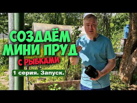 Видео: Мини пруд с рыбками на даче 2024. 1 серия. Запуск. Растения.