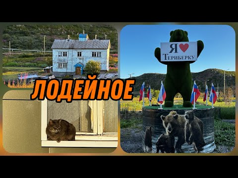 Видео: Териберка. Посёлок Лодейное. 5.08.24