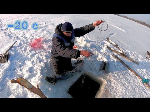 Видео: Ловля сетями зимой по старинке! Февраль, Карелия, Онего, Заонежье.