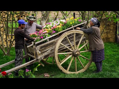 Видео: Превращаем Старую Тележку в Красивую Клумбу