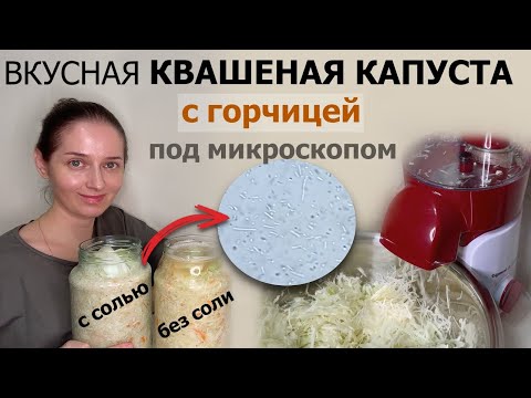 Видео: В капусте с горчицей появились лактобактерии!  Наконец-то )