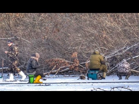 Видео: ВОТ ЭТО КОРЯГИ! ОНИ МАНЯТ РЫБАКОВ! ПЕРВЫЙ ЛЕД ДОМА! Первый лед 2024-25. Зимняя рыбалка.