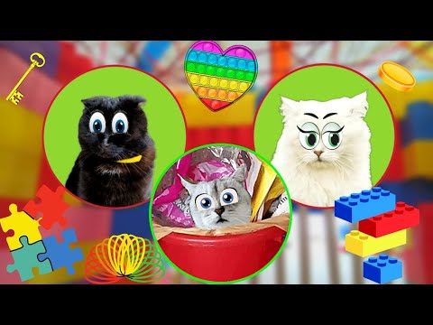 Видео: ЧЕЛЛЕНДЖИ с КОШКАМИ!!! Самые КРУТЫЕ и ЗАЛИПАТЕЛЬНЫЕ Челленджи на ЮТУБЕ!!!