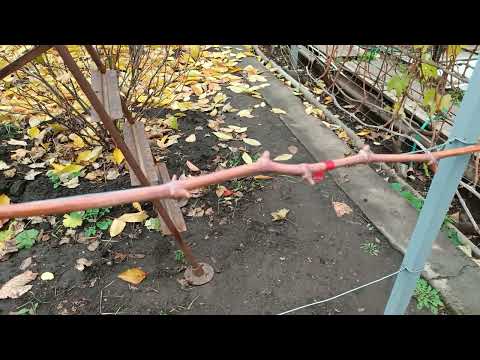 Видео: Видео для подписчика,  обрезка и укрытие г ф  Клубничный