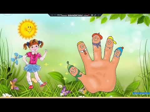 Видео: Мекен таануу "Менин дене тузулушум"