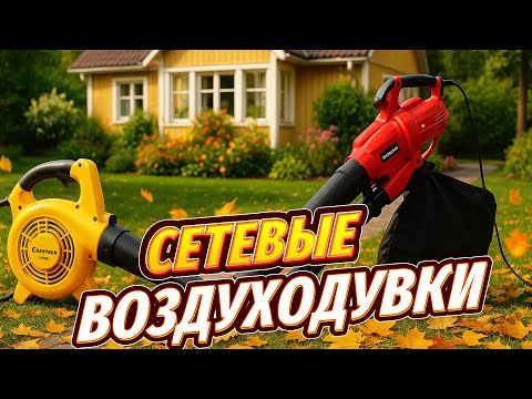 Видео: ЛУЧШИЕ сетевые воздуходувки и садовые пылесосы 2025🍂ТОП-5 моделей для уборки листвы. Рейтинг! СОВЕТЫ