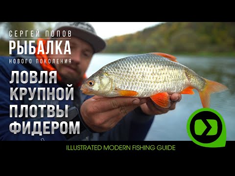 Видео: Ловля крупной плотвы фидером / Рыбалка нового поколения