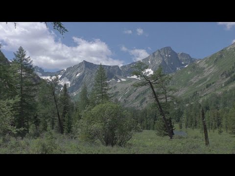 Видео: С горы на оз. Крепкое, потом на Куйгук. Приложения. Алтай, ч 3