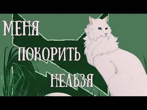 Видео: ЗАКАЗ Коты Воители Белохвост: Меня покорить нельзя [OST Спирит: Душа прерий]