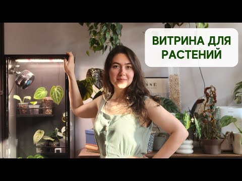 Видео: ДОЛГОЖДАННАЯ покупка / Собираю ВИТРИНУ для РАСТЕНИЙ от IKEA