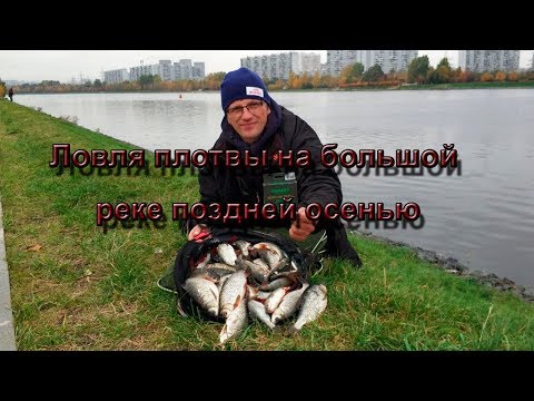 Видео: Ловля плотвы на большой реке поздней осенью