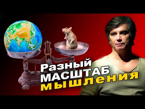 Видео: Как выйти из замкнутого круга | Масштабирование мышления