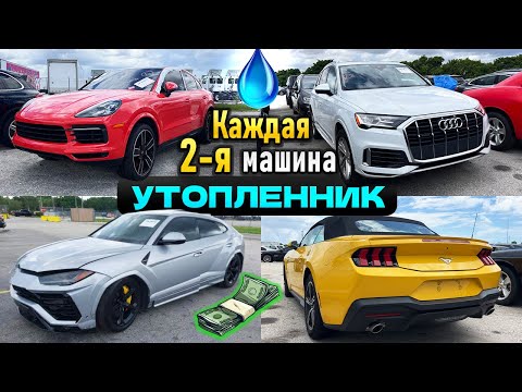 Видео: Возможно ли найти "живой" утопленник в Майами? Audi Q7, Porsche  Cayenne, Lamborghini Urus, Mustang