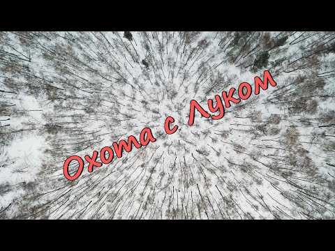 Видео: Охота на косулю с луком (полный фильм)