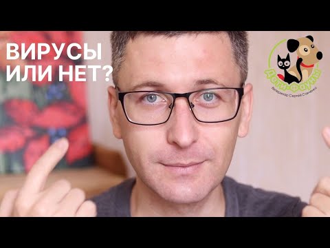 Видео: Как понять, что у кошки вирусная инфекция? 5 способов