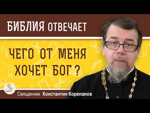 Видео: ЧЕГО ОТ МЕНЯ ХОЧЕТ БОГ ?  Священник Константин Корепанов