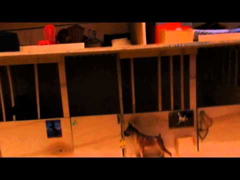 Видео: Коротко о обновах )