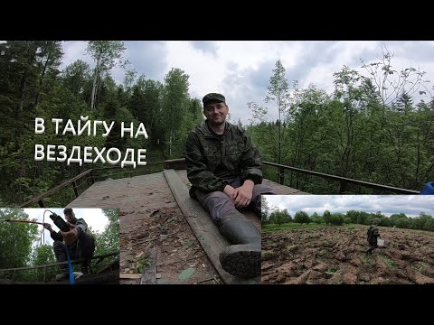 Видео: НА ТАНКЕ ПО ТАЙГЕ