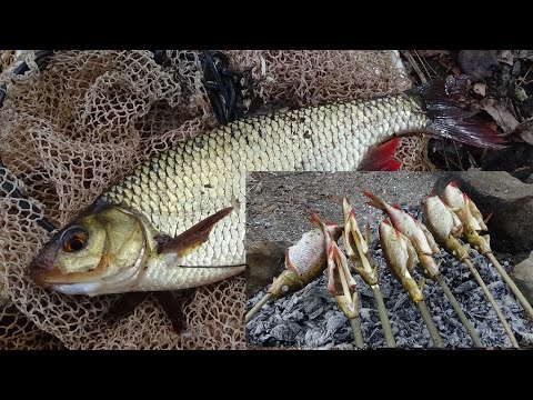 Видео: Ловля на попла поппер и  ГОТОВИМ  РЫБУ на УГЛЯХ.