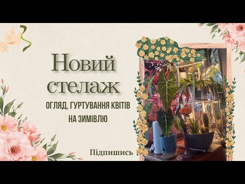 Видео: Стелаж із полиці для взуття бюджетний варіант,  огляд рослин, освітлення рослин.