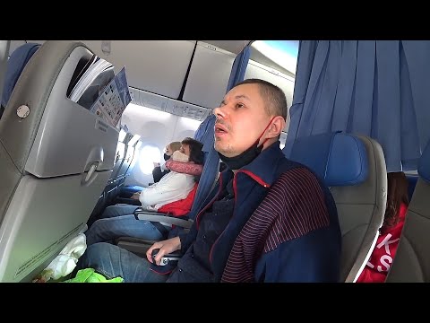 Видео: Ёшкин в самолете! Паническая атака. Джентльмены в Египте! 2021