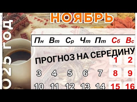 Видео: Планы на середину ноября