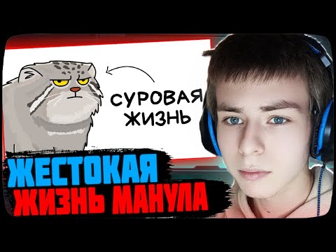 Видео: ФИЛТЕР СМОТРИТ: Ты - Манул (И ЭТО ВСЯ ТВОЯ ЖИЗНЬ)