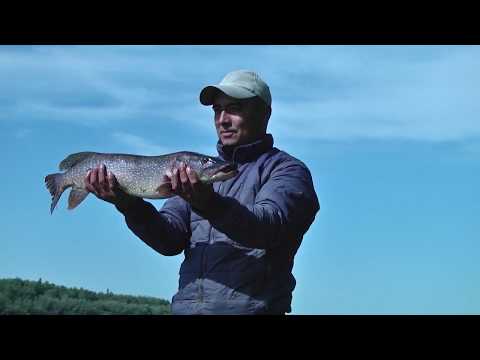 Видео: В ПОИСКАХ ПОКЛЕВКИ. Игрим. Северная Сосьва.