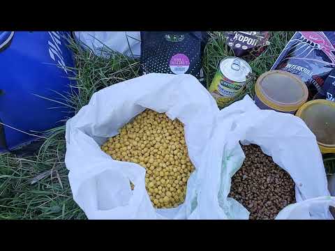 Видео: Південний Буг. Ізюм рулить , карасі монстри шаленіють.