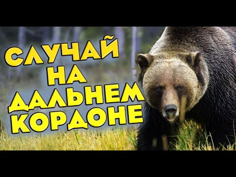 Видео: Встреча с медведем на дальнем кордоне! Случай в тайге!
