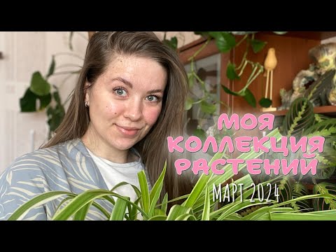 Видео: Моя коллекция растений. Март 2024