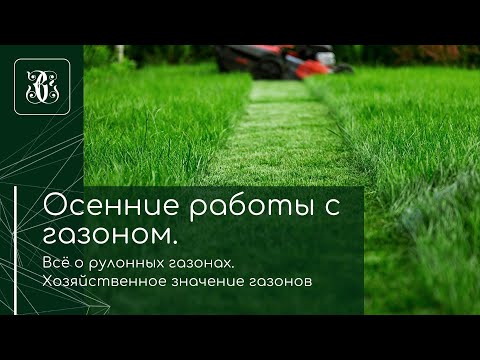 Видео: Осенние работы с газоном. Всё о рулонных газонах. Хозяйственное значение газонов. Лянгузов Дмитрий.