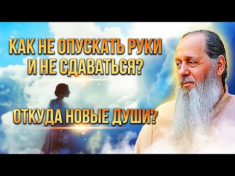 Видео: Как не опускать руки и не сдаваться? Откуда новые души?