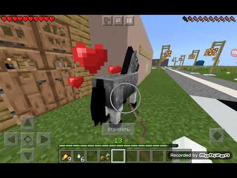 Видео: возвращение рубрики!|| купили лошадь|| выживание в городе|| майнкрафт