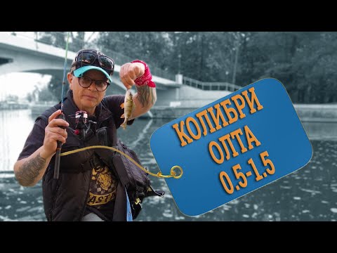 Видео: Колибри (ОЛТА) 0.5-1.5гр. Тест на воде.