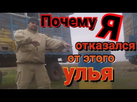 Видео: Почему я отказался от улья на 3 корпуса. Советы начинающим.