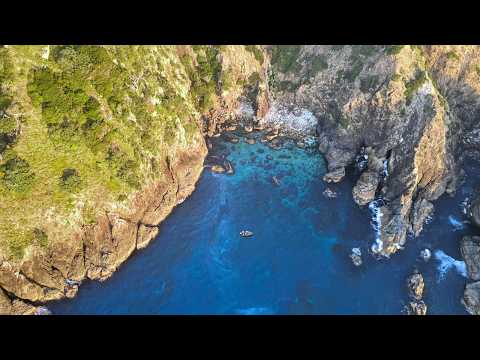 Видео: Ночное погружение SOLO (ГИГАНТСКИЙ ЛОБСТЕР) — подводная охота и кемпинг на лодке