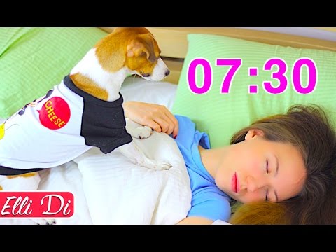 Видео: МОЁ УТРО И УТРО МОЕЙ СОБАКИ / MY MORNING ROUTINE with dog | Elli Di Pets
