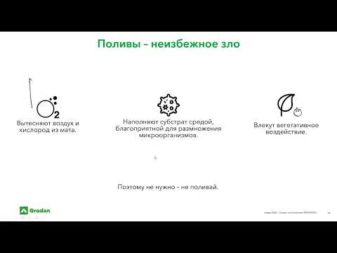 Видео: Водный баланс растений.Часть 2.5.