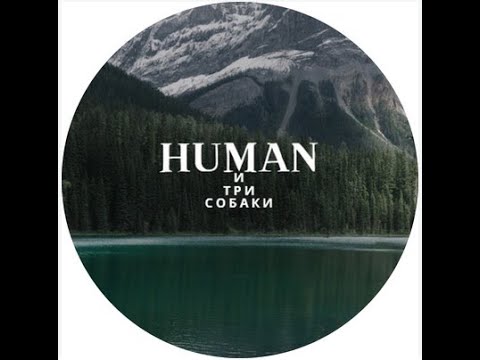 Видео: Купил Домик в Деревне ЧАСТЬ 8. Приезд ПОДПИСЧИЦЫ. ТРИ ПОТЕРИ ЗА ДЕНЬ! ПАВЛИНЫ. ОВЦЫ. ПРУД.