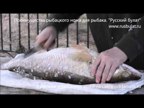 Видео: Преимущества рыбацкого ножа для рыбака. Компания "Русский булат"