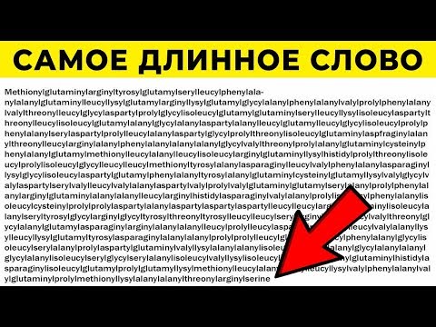 Видео: 10 Самых Длинных Рекордов в Мире