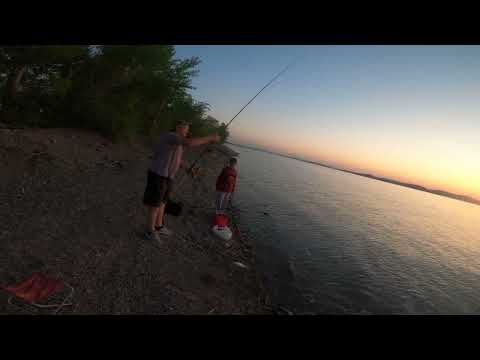 Видео: Рыбалка на Самаркандском водохранилище Темиртау Караганда 03 06  04 06 2023