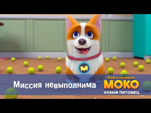 Видео: Корги по имени Моко. Новый питомец - Серия 9.Миссия невыполнима - Премьера мультфильма