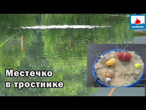 Видео: Просто это место с тростником мне не давало спать! Спец предложение для крупного карася! 34 серия