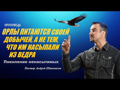 Видео: ОРЛЫ ПИТАЮТСЯ ДОБЫЧЕЙ, А НЕ ТЕМ, ЧТО ИМ НАСЫПАЛИ ИЗ ВЕДРА. Проповедь. Пастор Андрей Шаповалов.