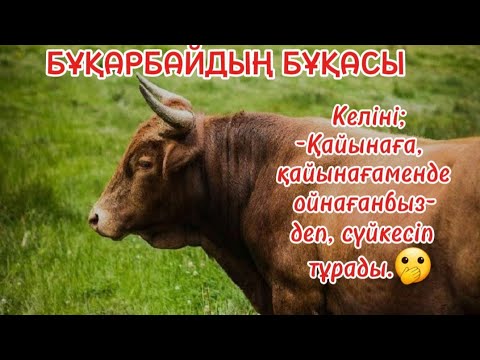 Видео: БҰҚАРБАЙДЫҢ БҰҚАСЫ. Қабдеш Жұмаділов.