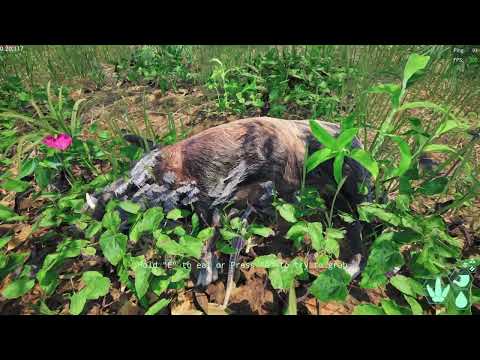 Видео: Играю в the isle EVRIMA
